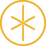 dynamocycling profile picture
