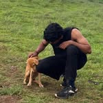 dyni__charpota profile picture
