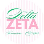 dztennessee profile picture