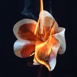 e_scottchild_art profile picture