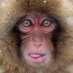 earthlogas profile picture