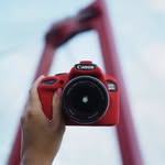 easycover_photo profile picture