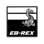 eb_rex_ profile picture