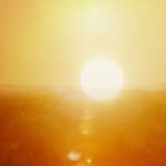 ebbahult profile picture