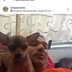 echavarria.leo profile picture