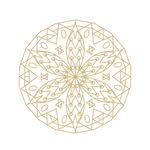 eclecticarray profile picture