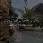 ecoxata profile picture