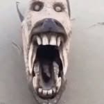ecstaticccs profile picture