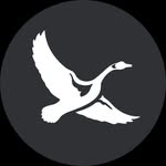 eddiebauer profile picture