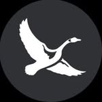 eddiebauereurope profile picture
