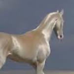 eddiebenjamin profile picture