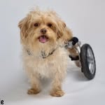eddie_is_fast profile picture