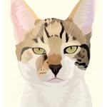 eddievanhalenthecat profile picture