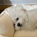 eddy.3kg profile picture