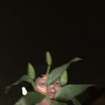 edgar_the_breathtaker profile picture