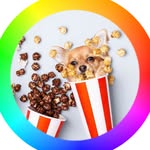 ediblepets profile picture
