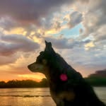 ediebarkell profile picture