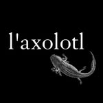 editionslaxolotl profile picture