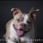 ednasjourney profile picture