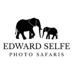 edward_selfe_photo_safaris profile picture