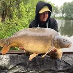 edwinwout profile picture