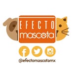 efectomascotamx profile picture