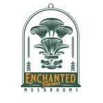 efmushrooms profile picture