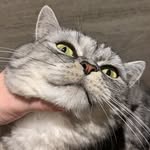 eggy_and_naonao profile picture