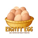 eighty.egg profile picture