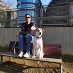 el_ratpenat_de_la_sort profile picture