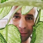 eldadbass profile picture