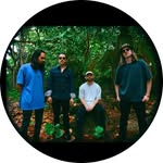 electrickif profile picture