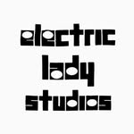 electricladystudios profile picture