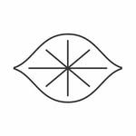 electriclemonnyc profile picture