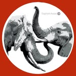 elephantaware profile picture