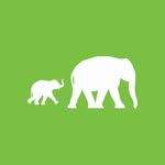 elephantfamily profile picture