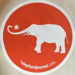 elephantjournal profile picture
