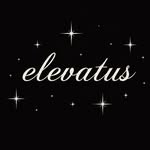 elevatus.nyc profile picture