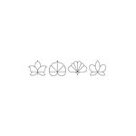 elevenmadisonpark profile picture