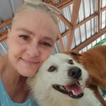 elfesworld profile picture