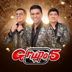 elgrupo5oficial profile picture