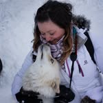 elisa.polini profile picture