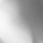 elisabethkwan profile picture