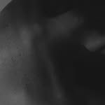 elisabetta_balconi profile picture