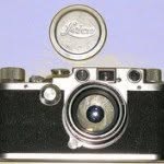 elizabethavedon profile picture