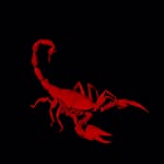 elizabethblack profile picture