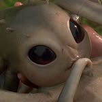 elizabethrenstrom profile picture