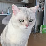 ellend_19 profile picture