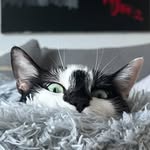 ellerysmoller profile picture