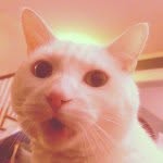 ellexbene profile picture